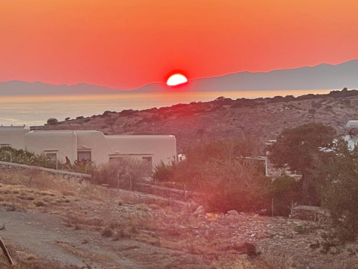 SOHOROS suites - Housity