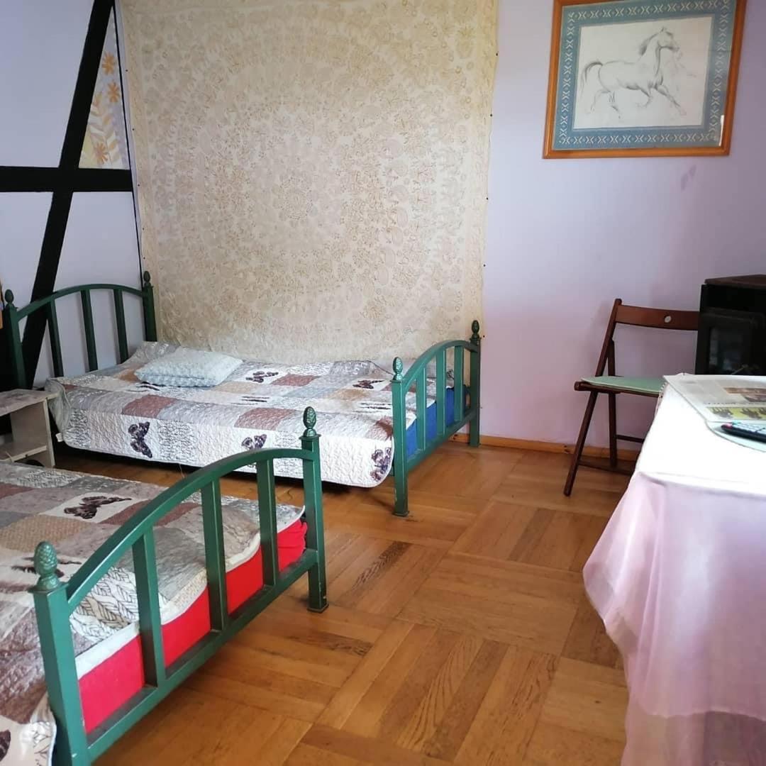 Pokój Afryka-Puszcza kampinoska - Housity