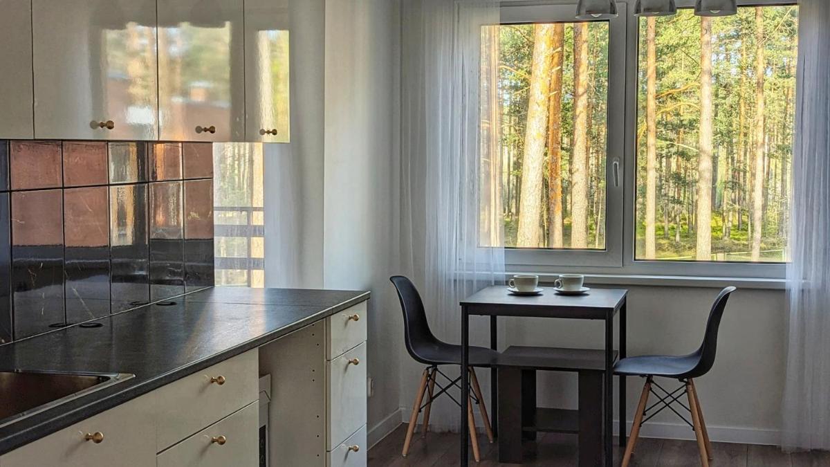 House in pine forest 6 - Housity