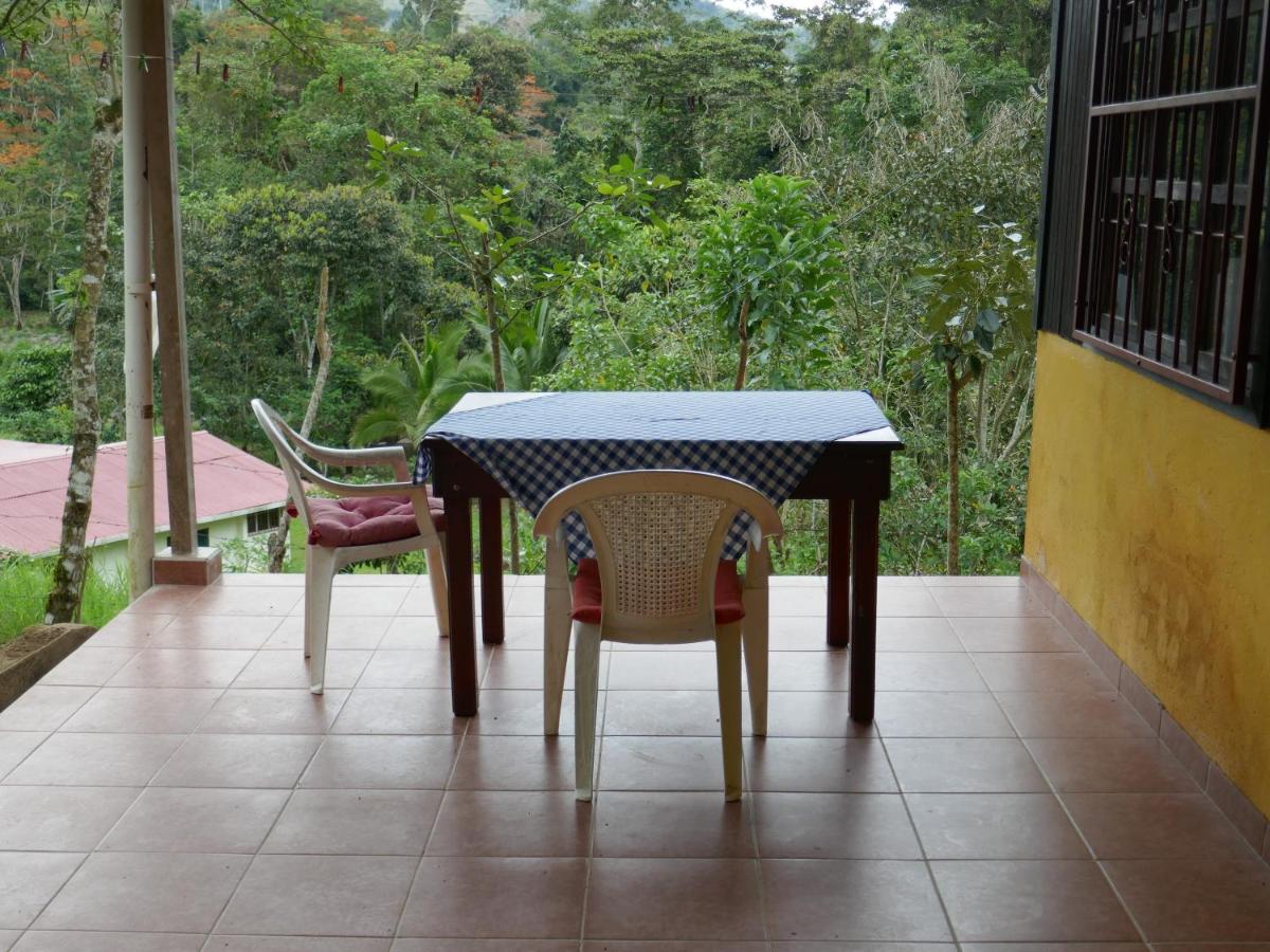 Casa Colibrí - Housity