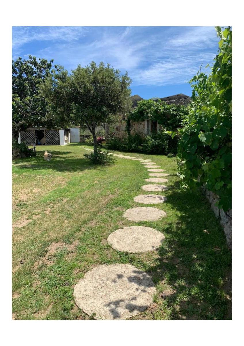 Villa immersa nel verde - Housity