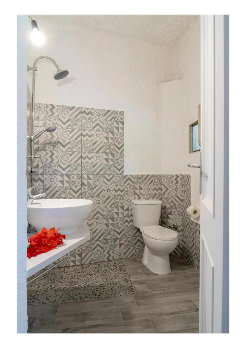 Villa immersa nel verde - Housity