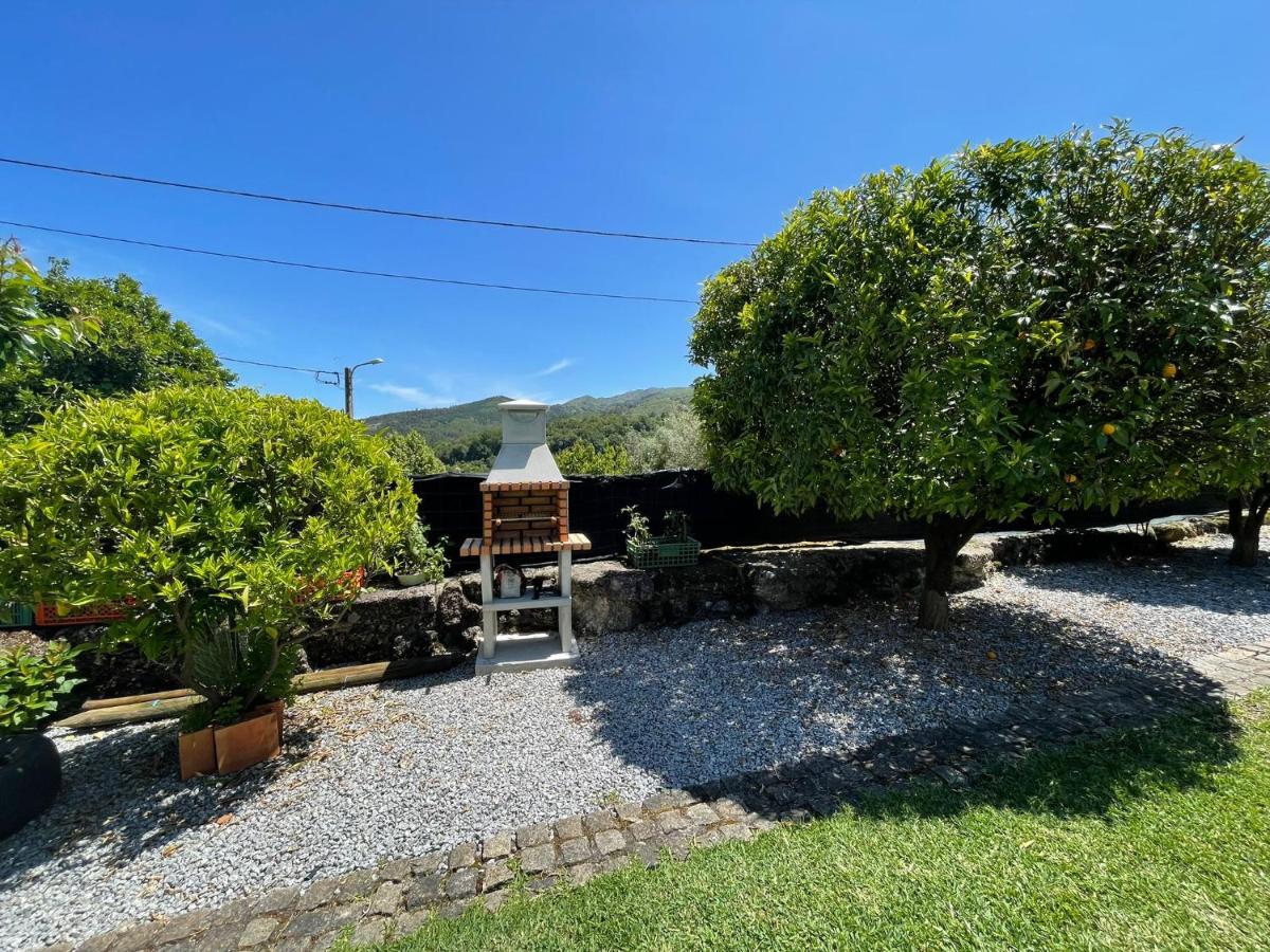Casa Pereira - Housity