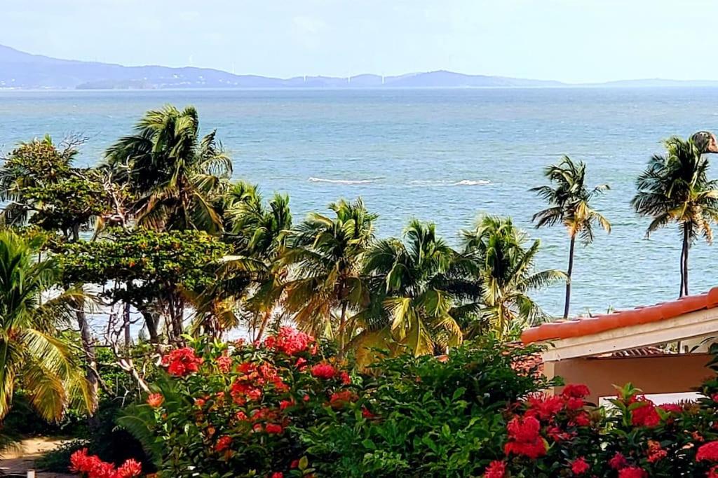 Portobello Palmanova, Palmas del Mar, Humacao, PR - Housity