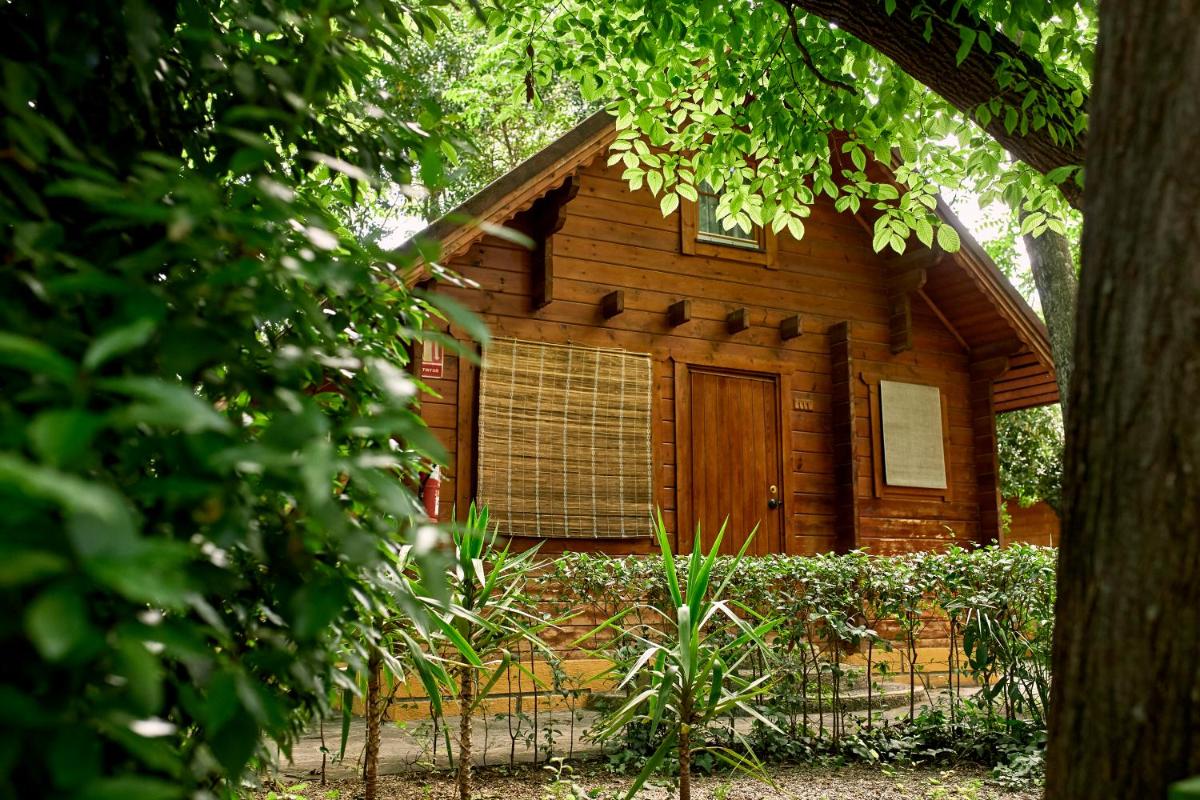 Jardín al aire libre en Balneario San Andres