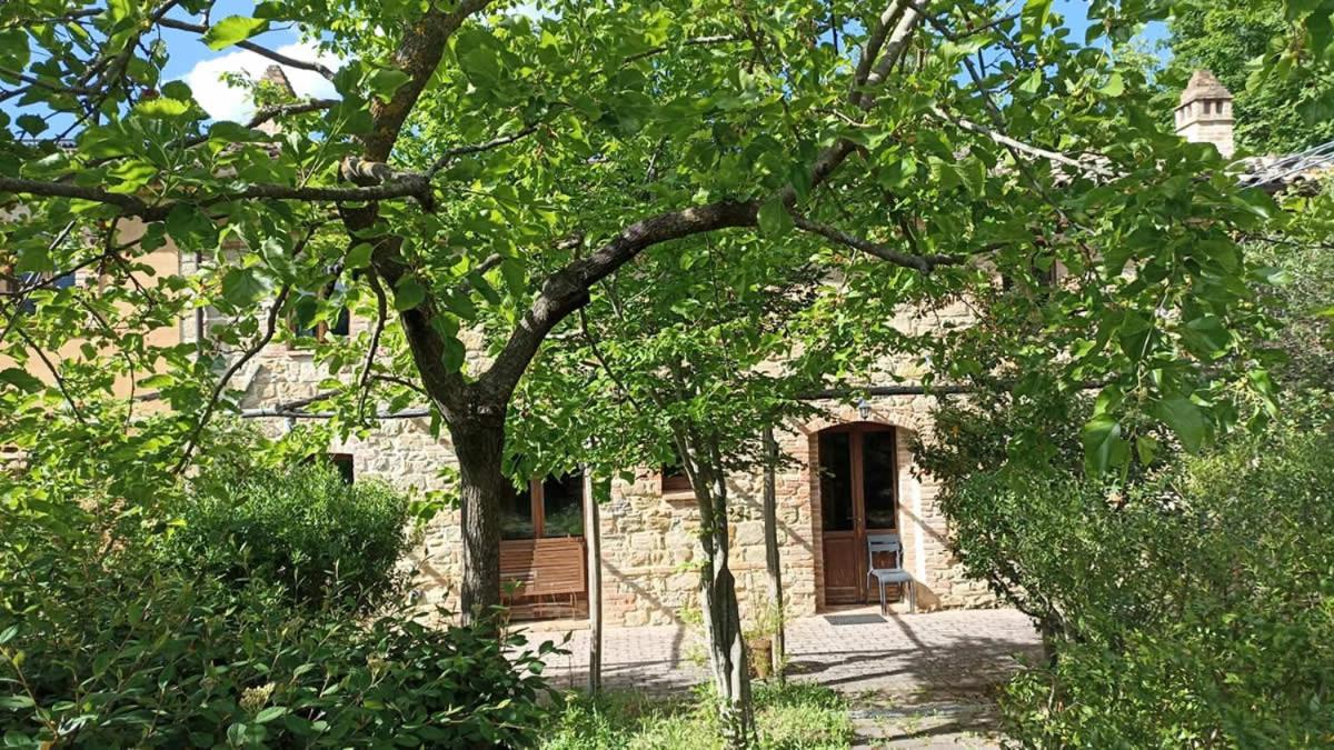 Terra di Magie - Housity