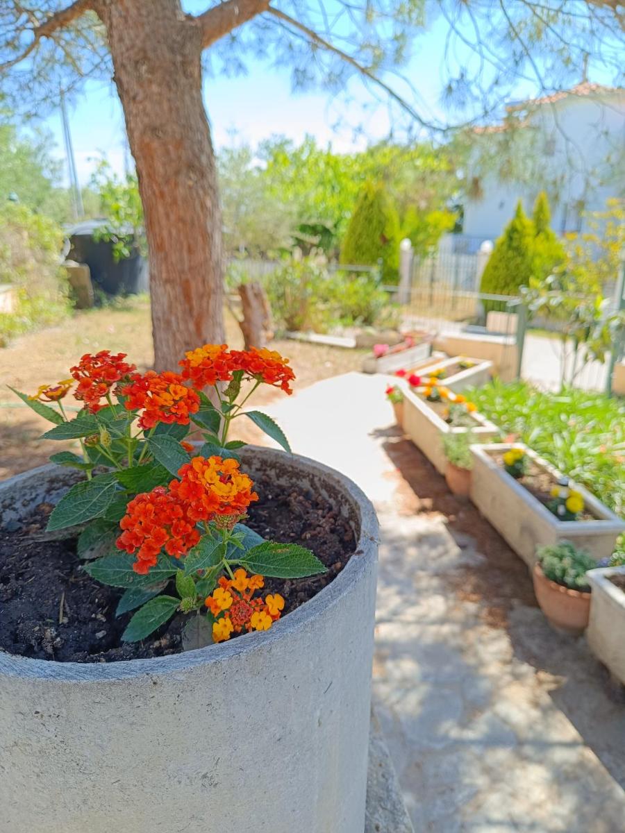 Seaview Oasis - Housity