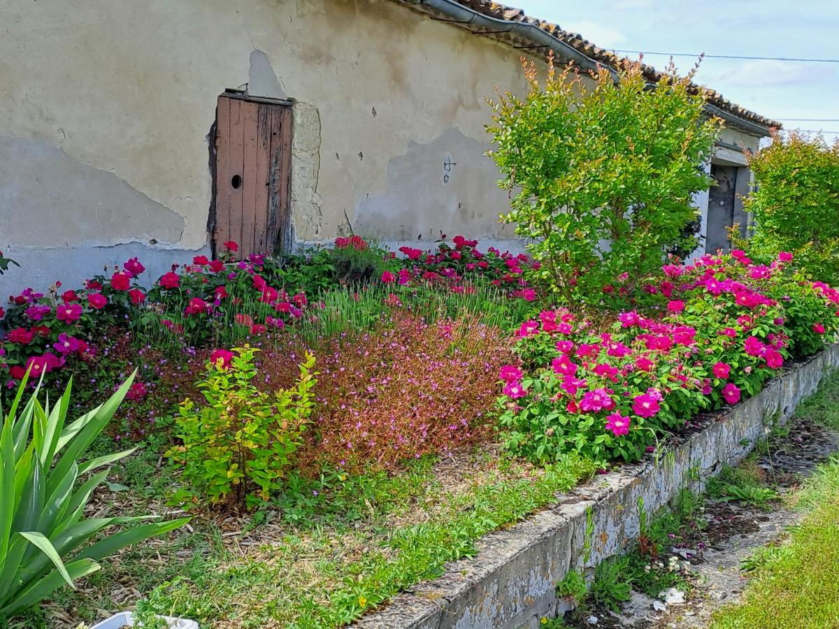 La Garenne - Housity