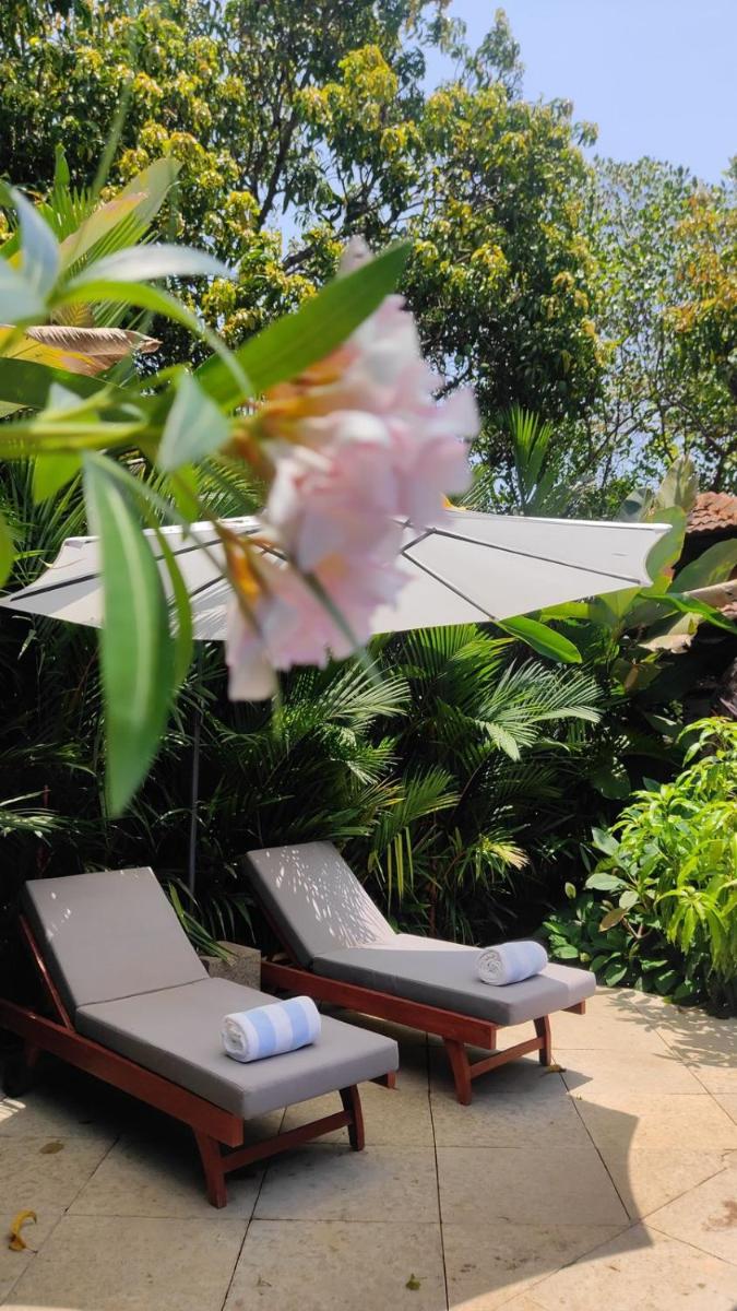 two lounge chairs and a flower on a patio at The Postcard Saligao in Calangute