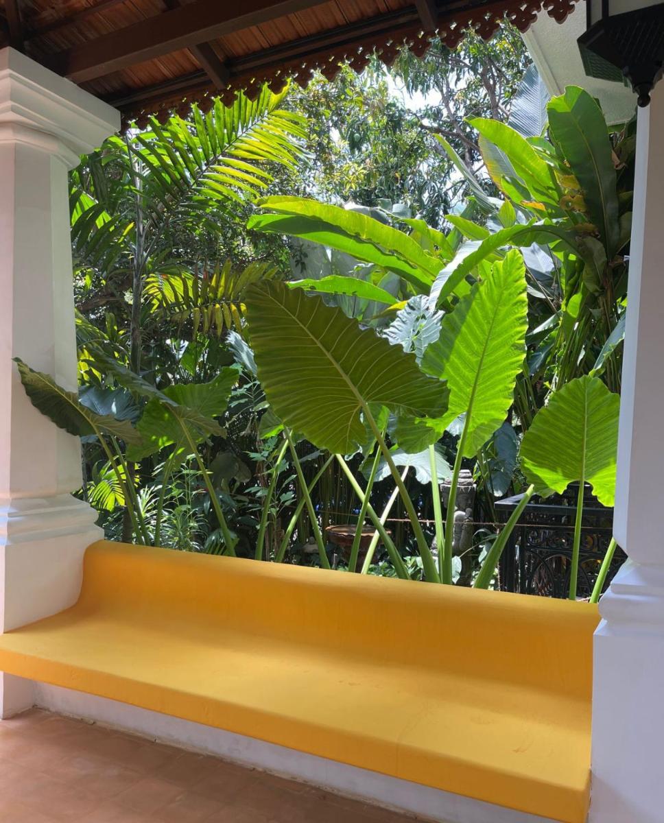 a yellow bench in a room with plants at The Postcard Saligao in Calangute