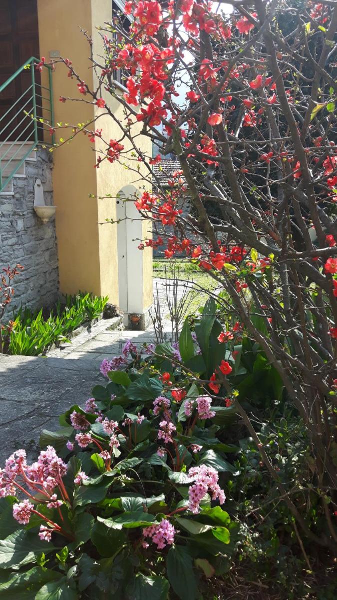 Neos Holiday House by La turr de Mezz Lca Bellagio - Housity