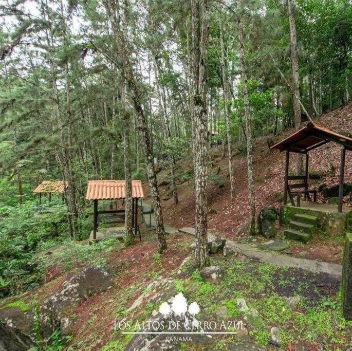 Cabaña Luxury altos de cerro azul - Housity