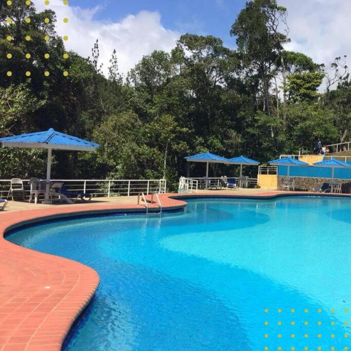 Cabaña Luxury altos de cerro azul - Housity