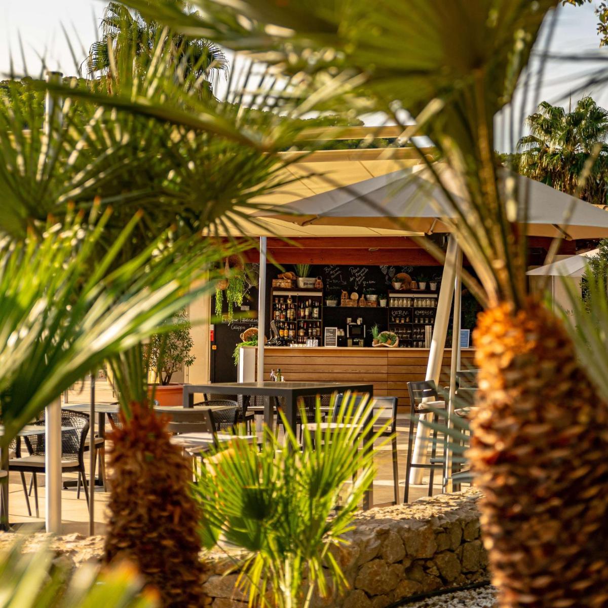 Bebidas en Steigenberger Hotel and Resort Camp de Mar
