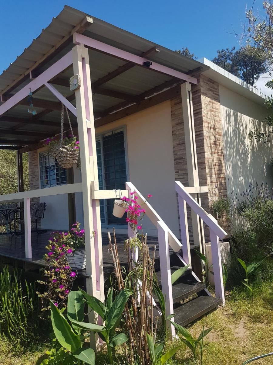 Casita Picaflor - Housity