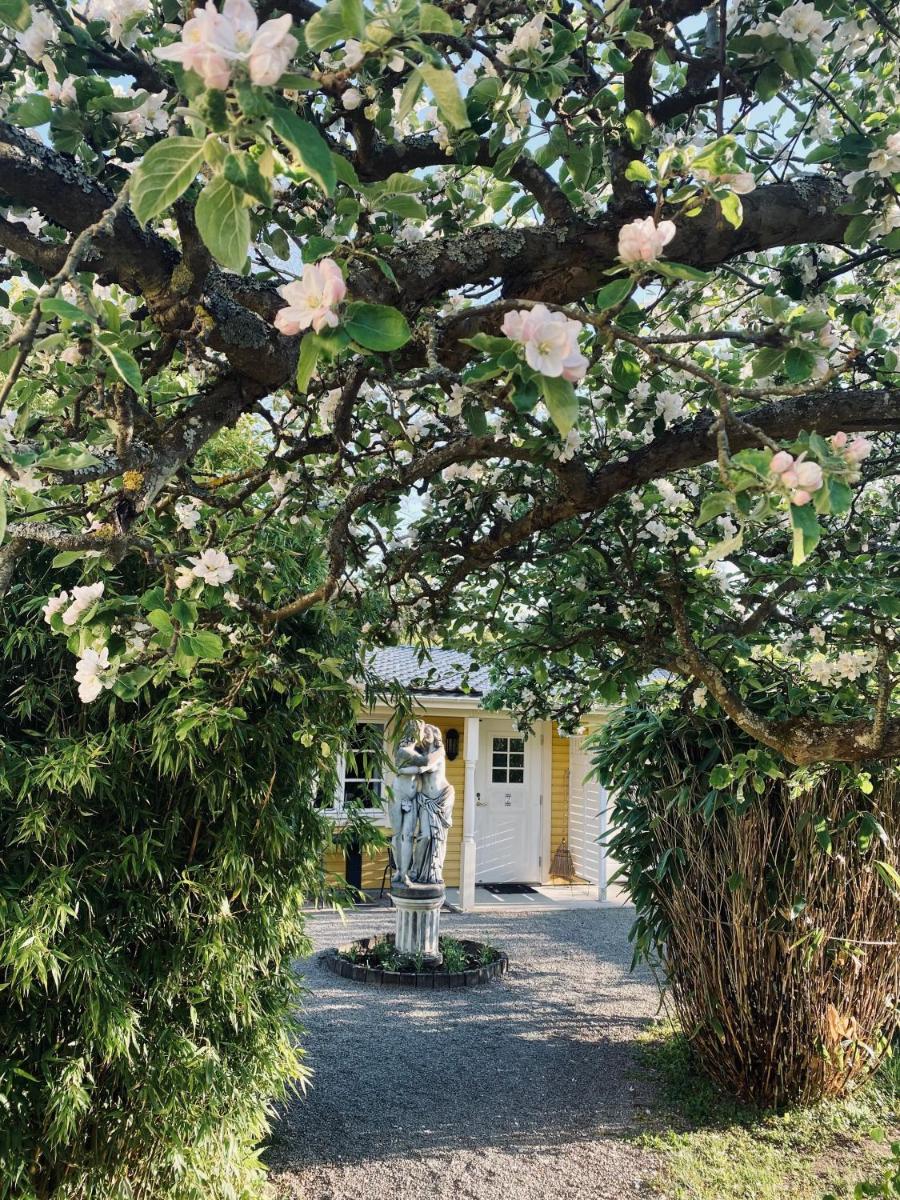 Villa Sol Bed & Breakfast - Housity