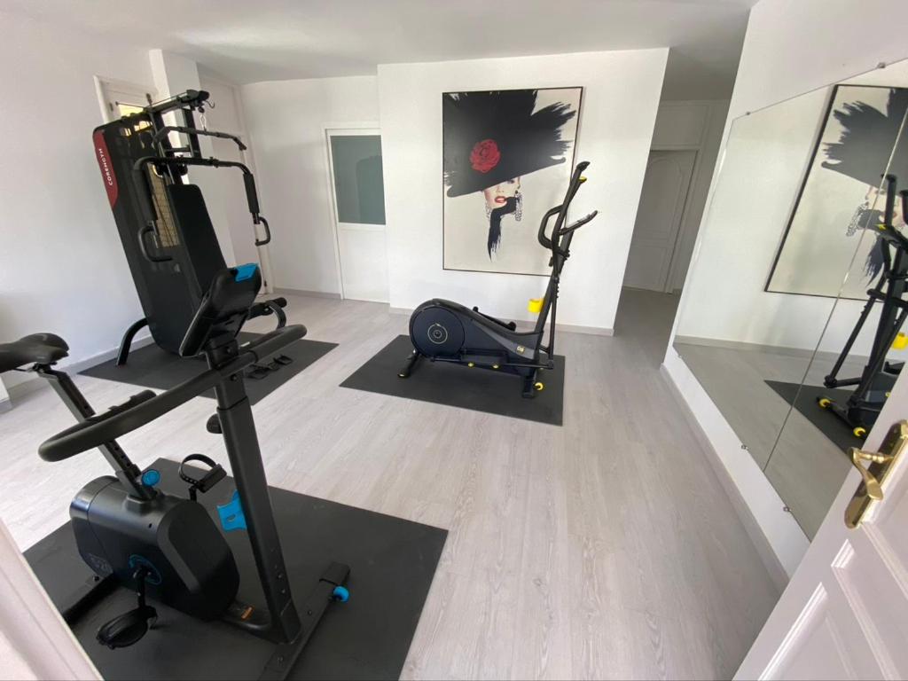 Gimnasio o instalaciones de fitness de La Moraleja The Quiet Hotel - Adults Only