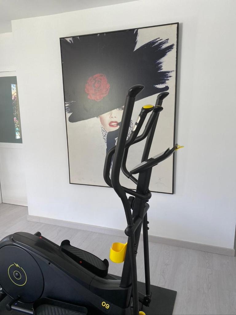 Gimnasio o instalaciones de fitness de La Moraleja The Quiet Hotel - Adults Only