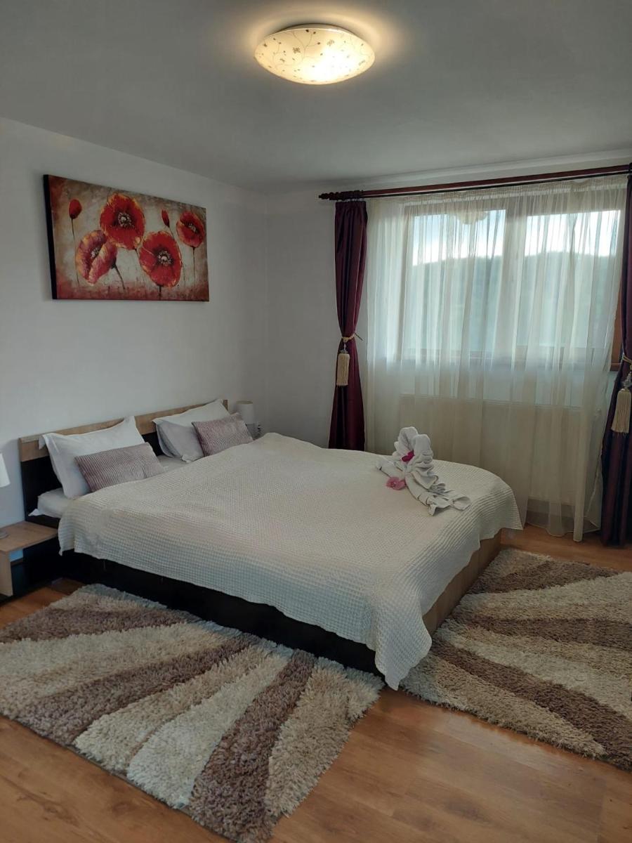 Pensiunea Doina - Housity