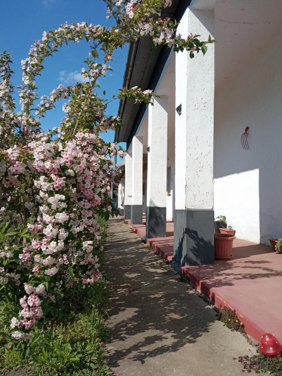 Szelíd Tisza Vályog Vendégház Tiszafüred - Housity