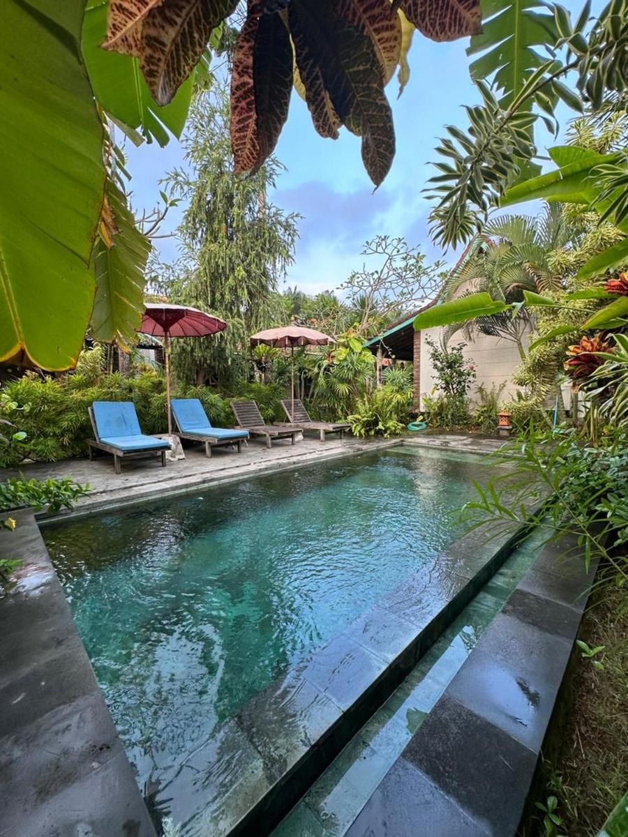 ComeBack GuestHouse - Housity