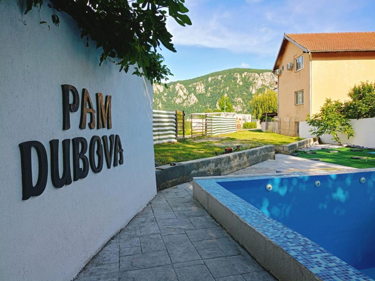 Pam Dubova C1 C2 - Housity