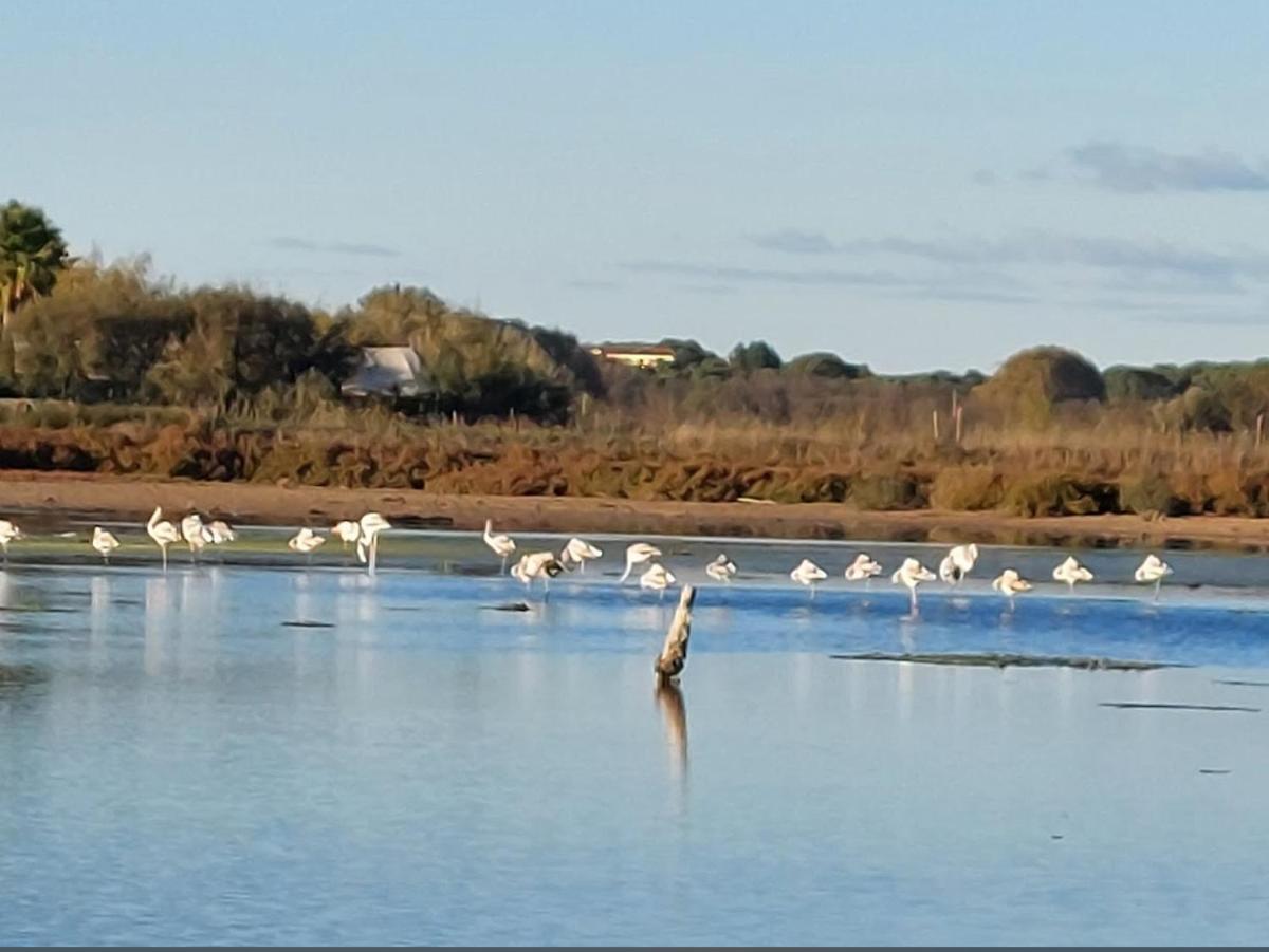 Suitetrails - Maison du Littoral