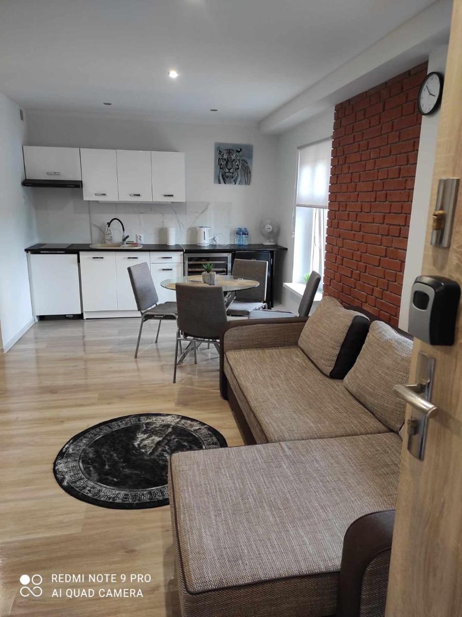 Eye of the Tiger. Apartament w centrum Mrągowa. - Housity