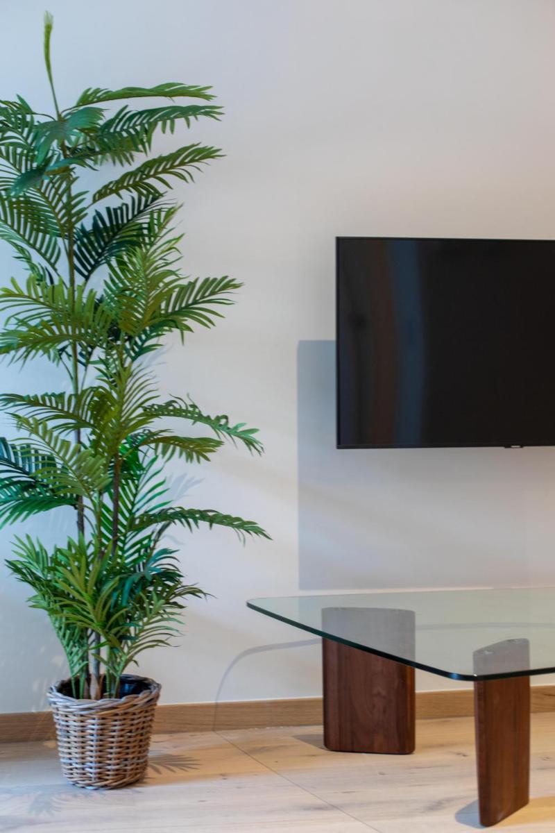 Smartflats - Rogier Brussels - Housity