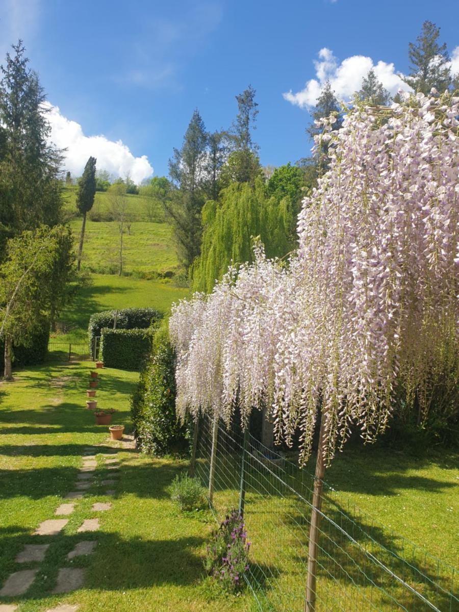 B&B Tenuta Campo Magliano - Housity