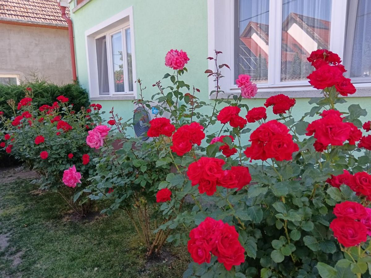 Margó Vendégházak - Housity