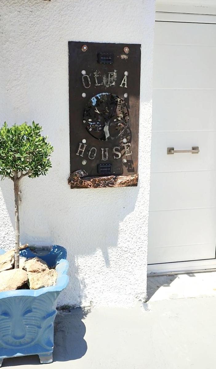Olea House - Housity