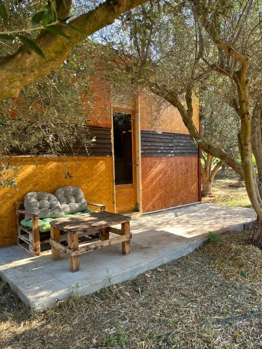 Eco Glamping with Pool between Nafplio and Argos - Housity