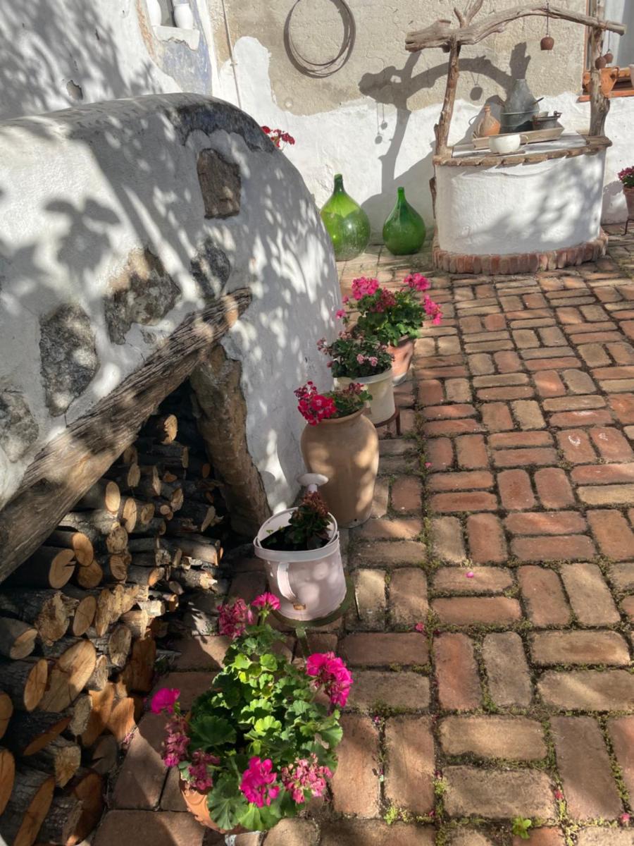 B&B Corte San Lussorio - Housity