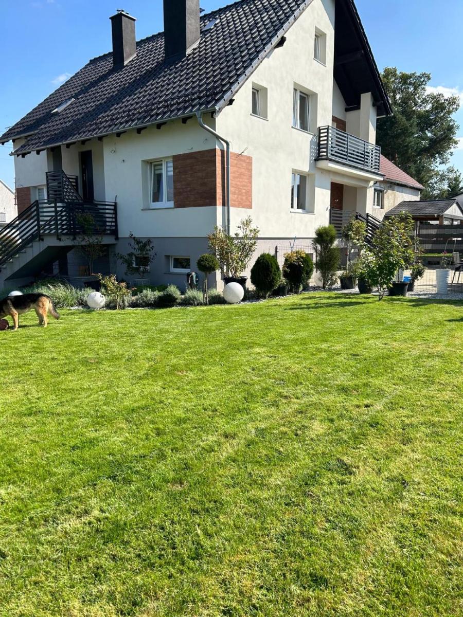 pokój ze skosem 1-2 os - Housity