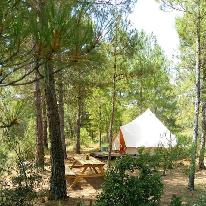 Forest Days - Housity