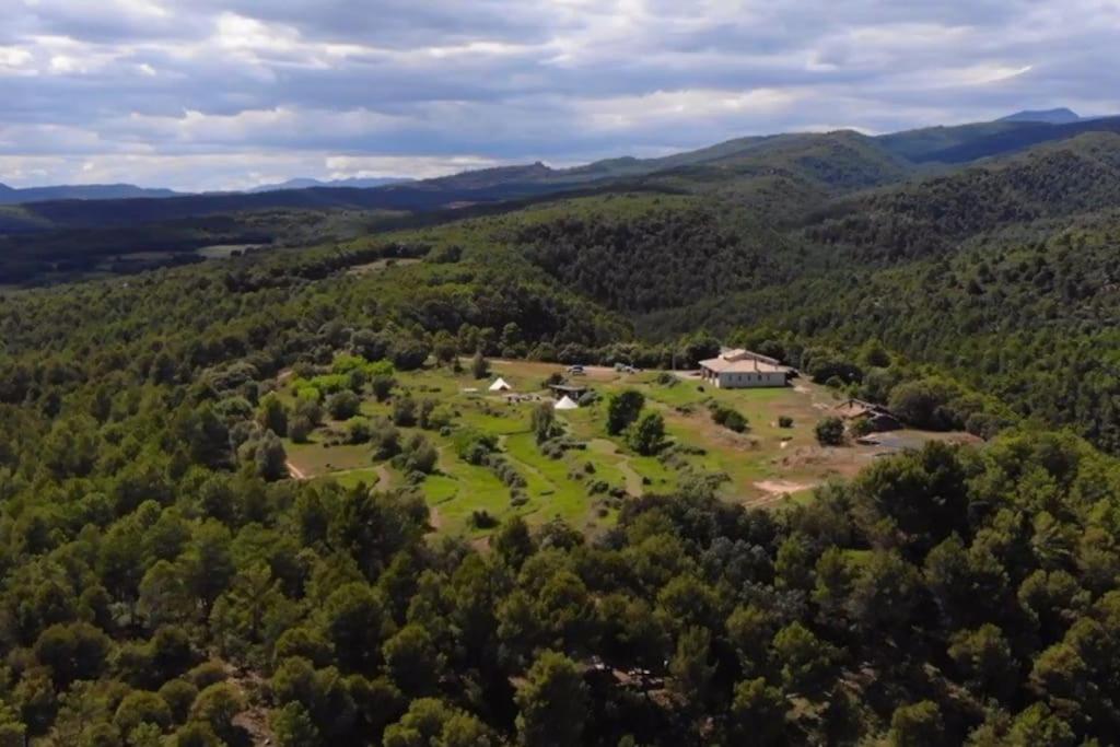 Forest Days - Housity