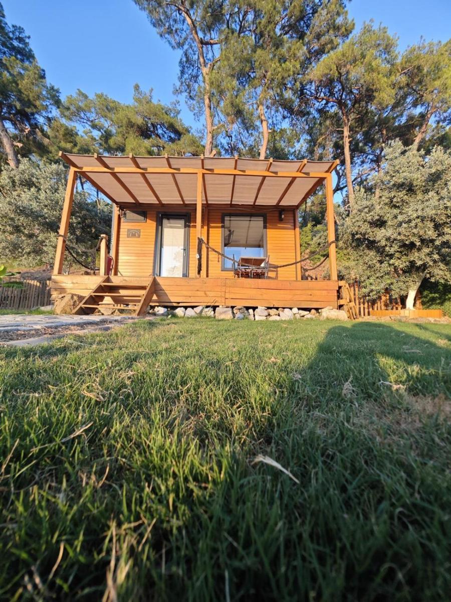 Tiny Mini House - Housity