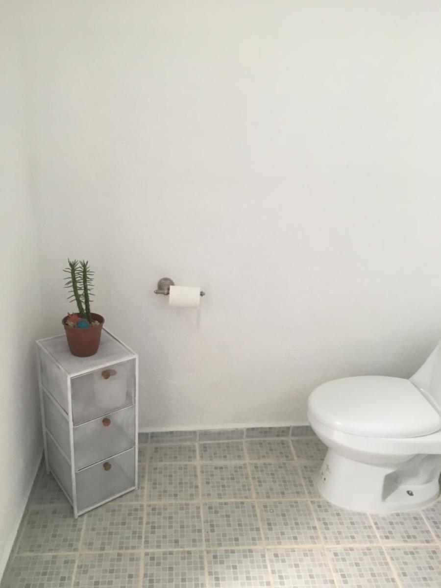 GREEN PARADISE LEONA VICARIO - Housity
