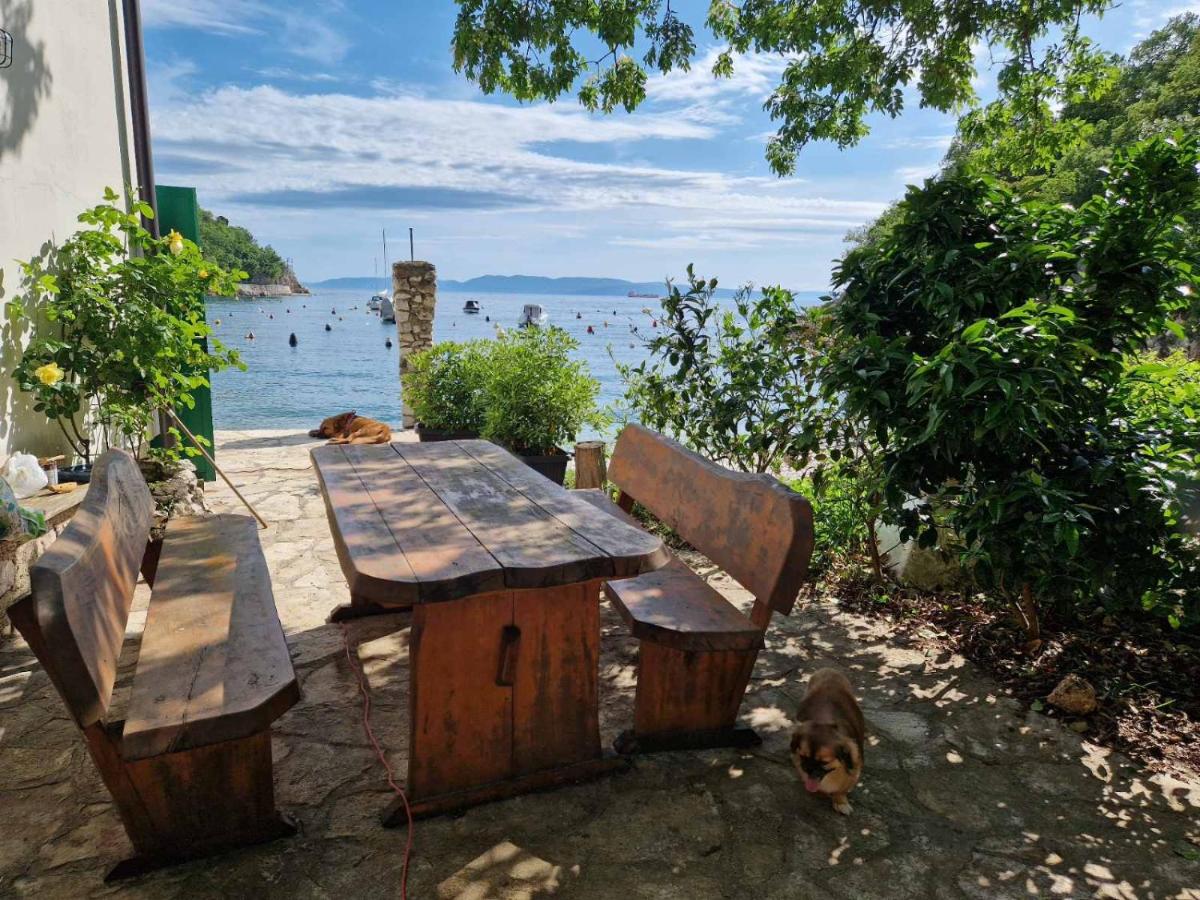 Beach House Bassi - Housity