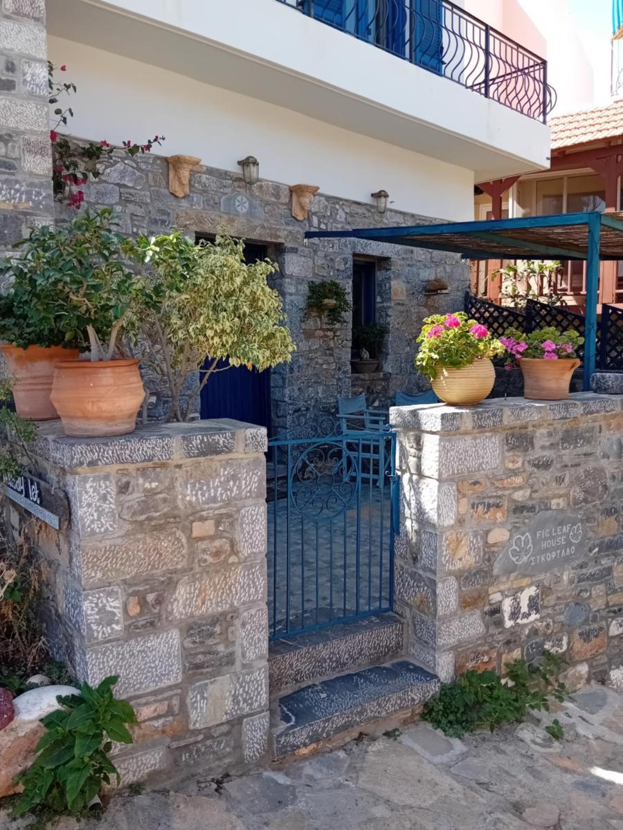 Fig Leaf House - Housity