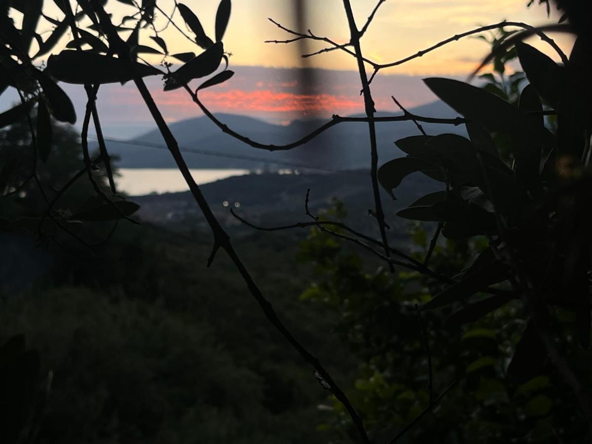 Casa vacanze Alfano - Housity