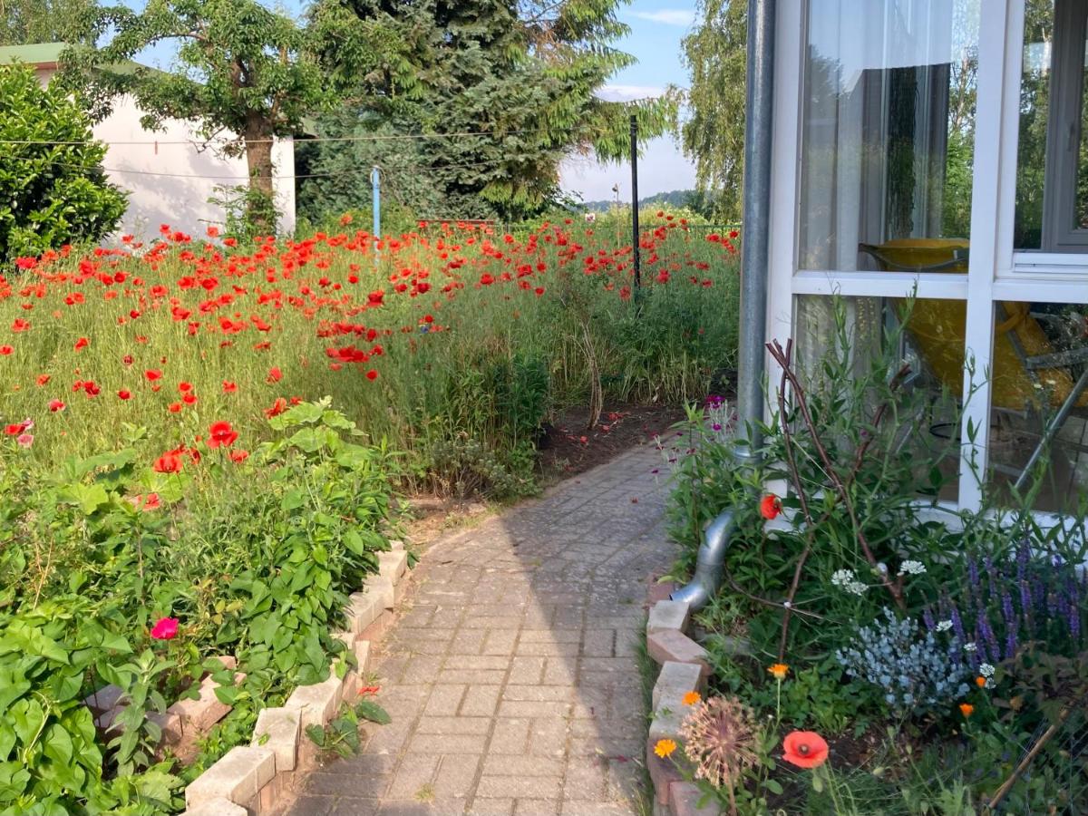 Ferienhaus am Wasser im Grünen - Housity