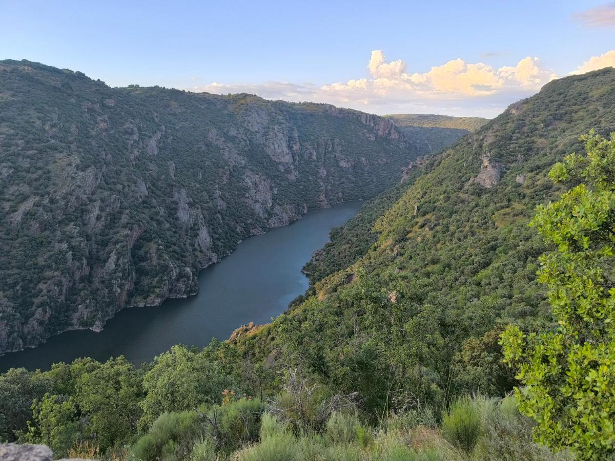 Cabañas Miraduero - Housity