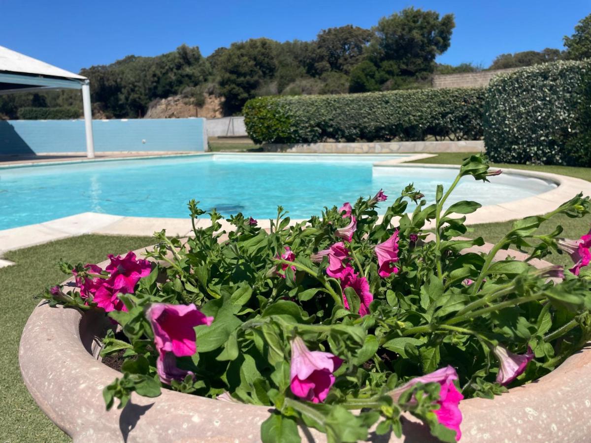 B&B SanPaolo - Housity