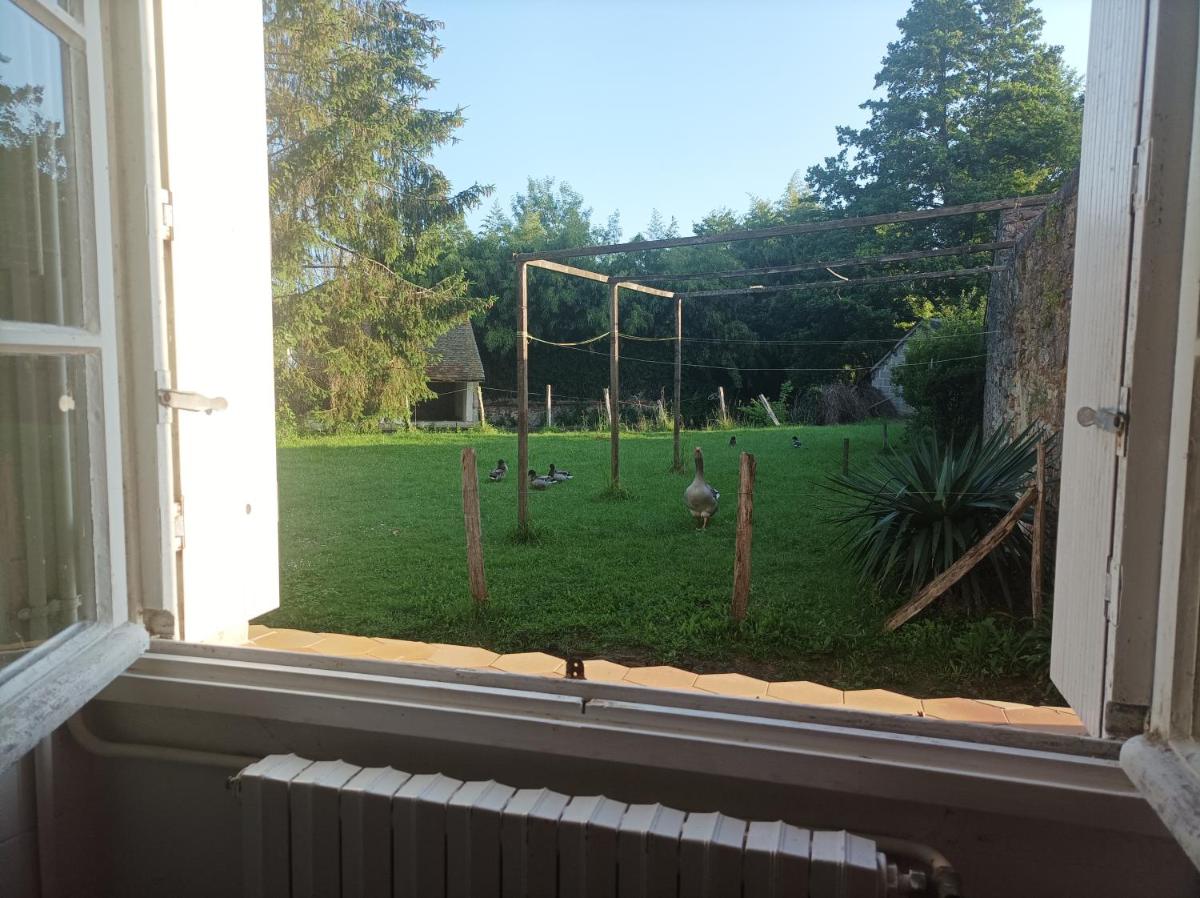 La maison au bord de l'eau - Hizvo