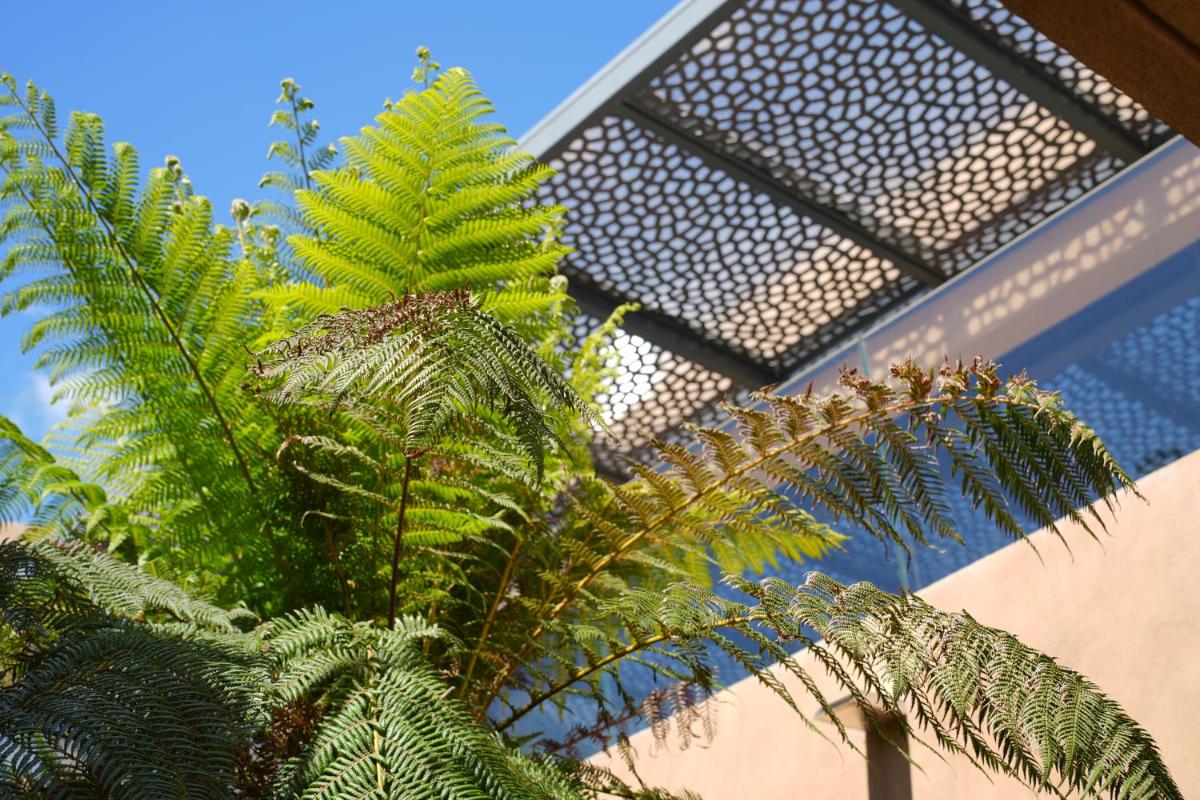 Jardin de l'établissement Les Regalia Hôtel & Spa