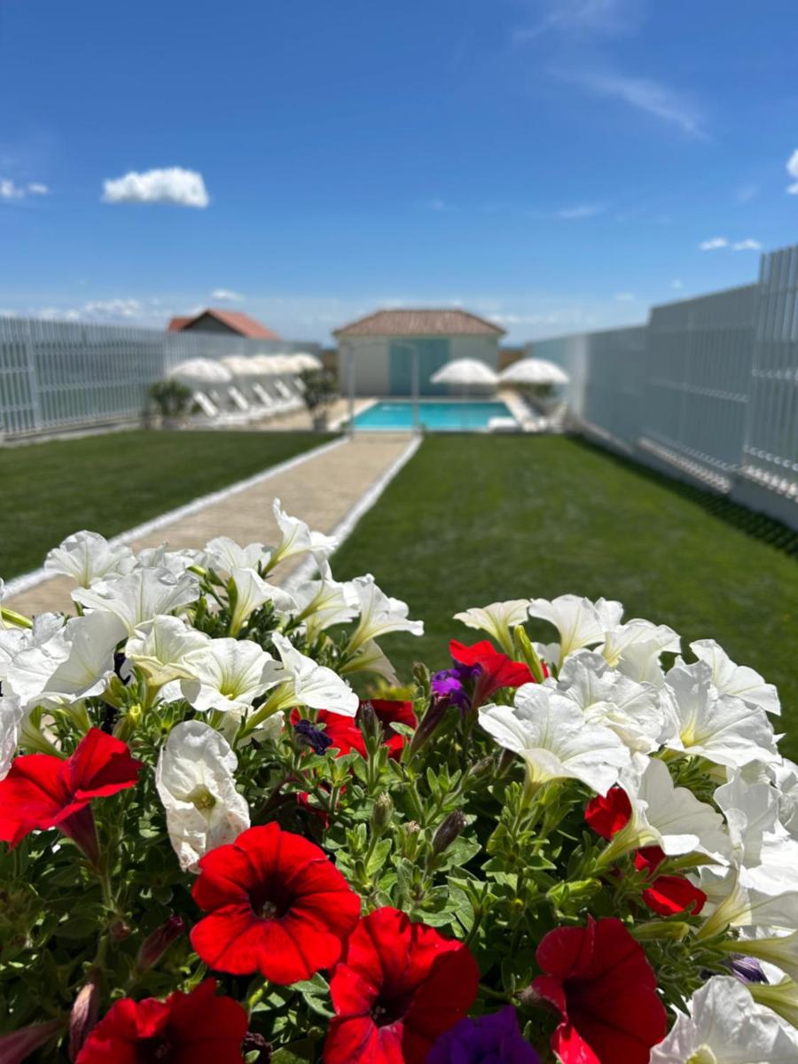 Alma Rezidence - Housity