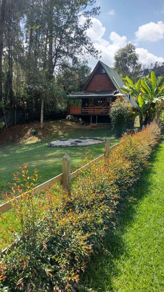EUCALYPTO CHALET - Housity