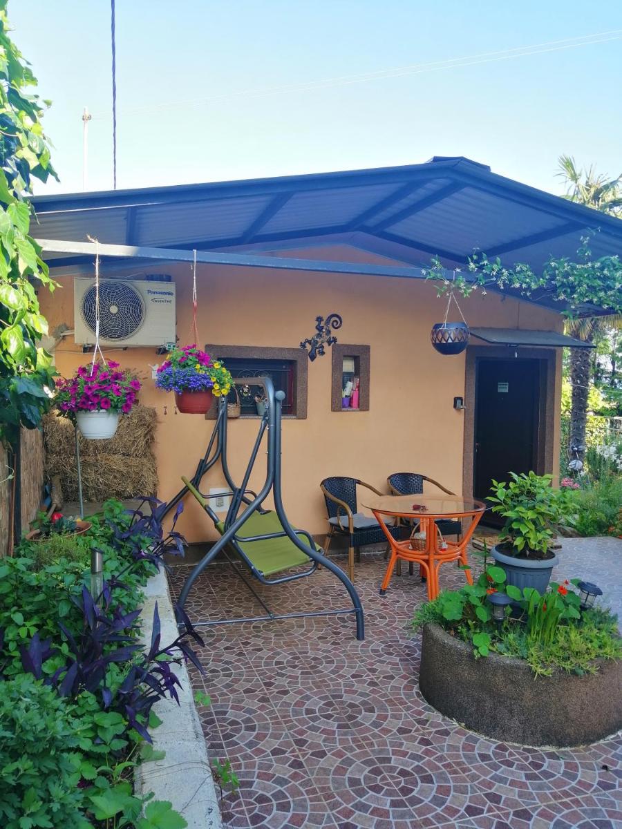 Little garden house - Housity